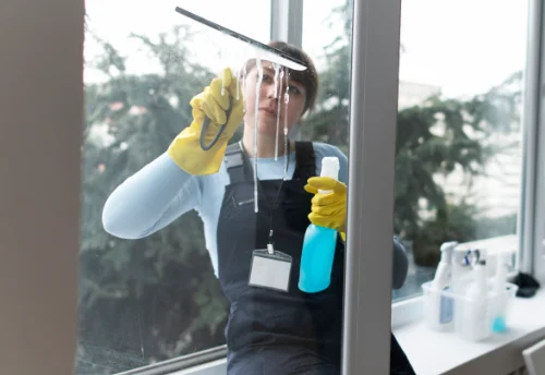 Nettoyage de vitres intérieures et extérieures à Landujan
